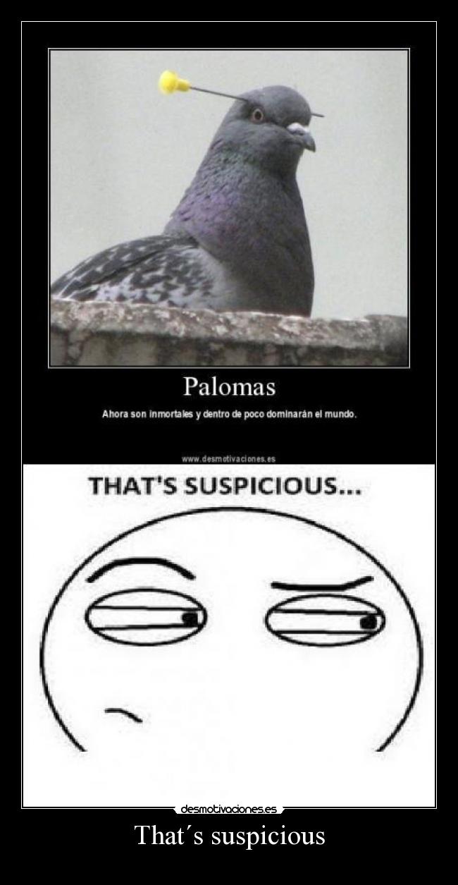 That´s suspicious - 