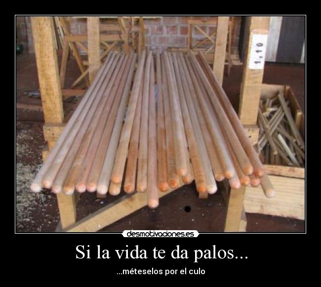 Si la vida te da palos... - ...méteselos por el culo