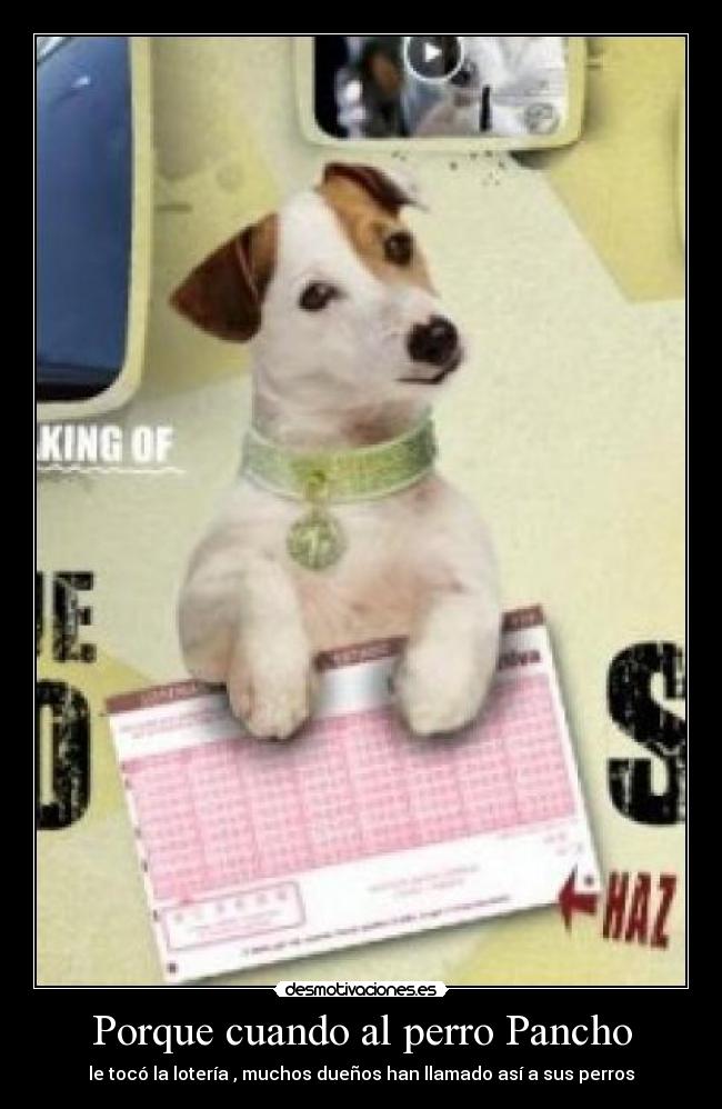 Porque cuando al perro Pancho - le tocó la lotería , muchos dueños han llamado así a sus perros