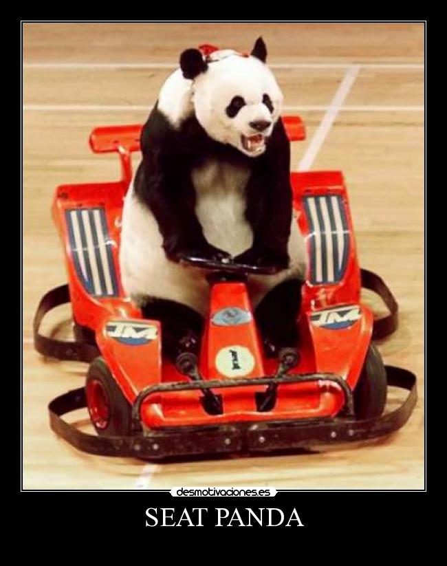 SEAT PANDA - 