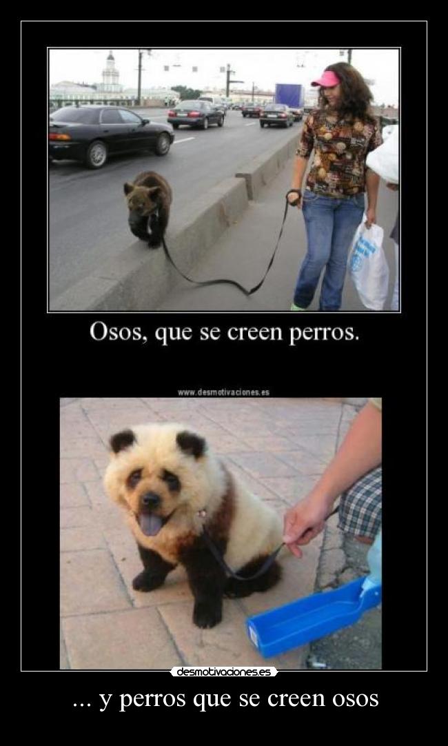... y perros que se creen osos - 