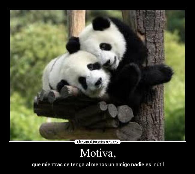 Motiva, - 