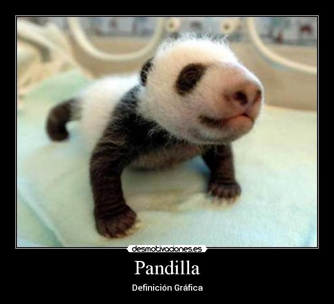 Pandilla - Definición Gráfica