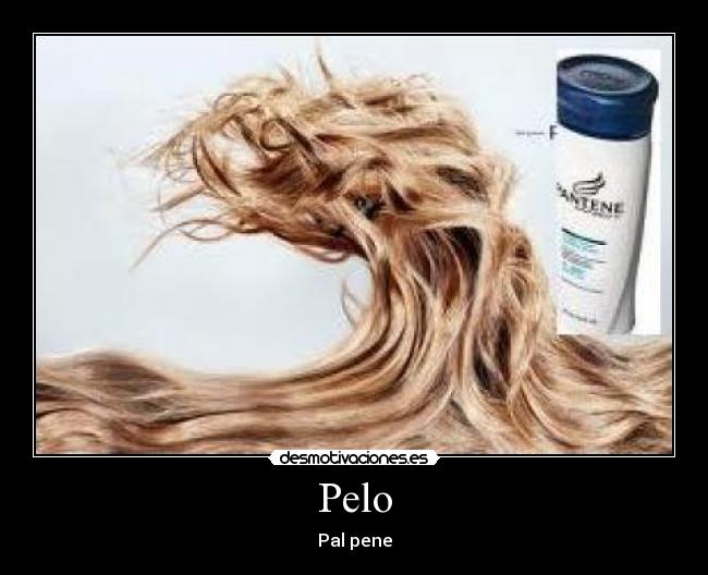 Pelo -