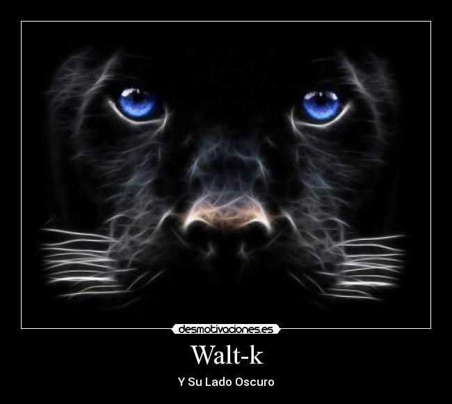 Walt-k -