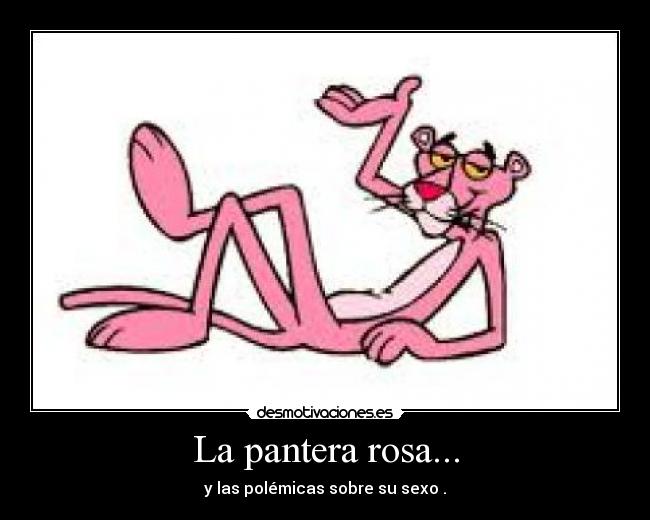 La pantera rosa... - y las polémicas sobre su sexo .