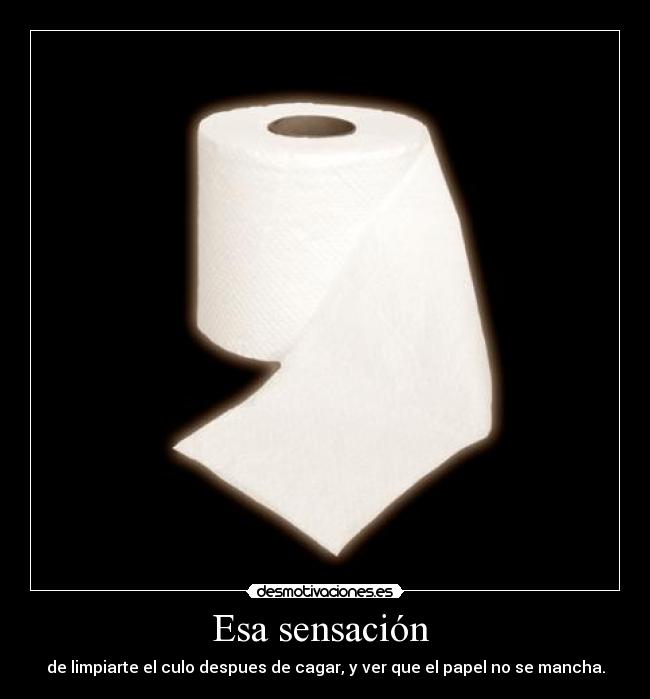 Esa sensación - de limpiarte el culo despues de cagar, y ver que el papel no se mancha.