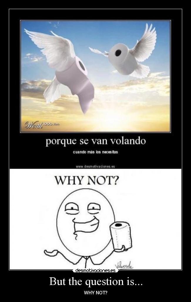 But the question is... - WHY NOT?