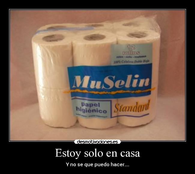 Estoy solo en casa -