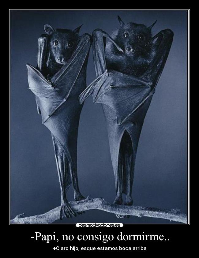 -Papi, no consigo dormirme.. - +Claro hijo, esque estamos boca arriba