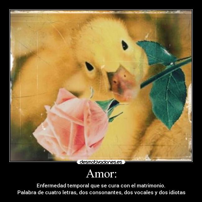 Amor: -  Enfermedad temporal que se cura con el matrimonio. 
Palabra de cuatro letras, dos consonantes, dos vocales y dos idiotas