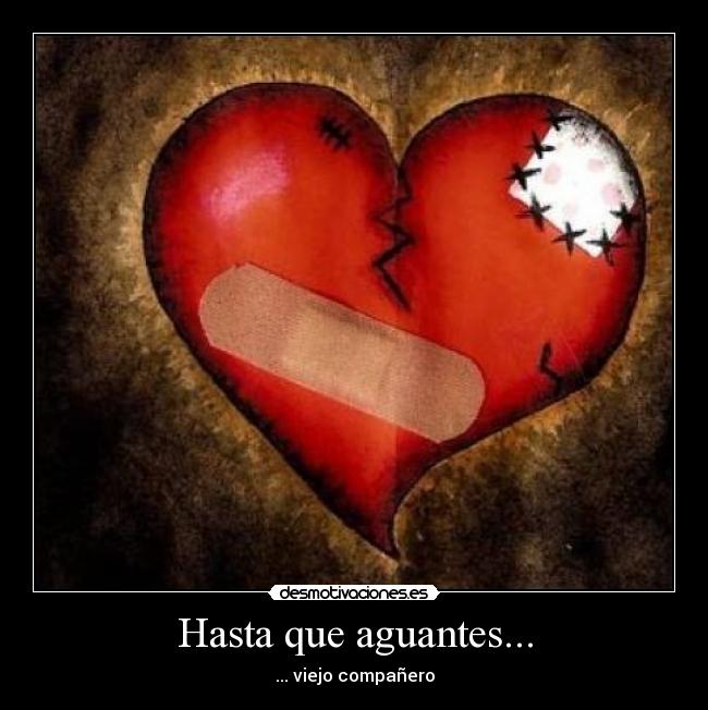 Hasta que aguantes... - ... viejo compañero