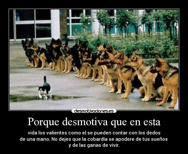 Porque desmotiva que en esta -