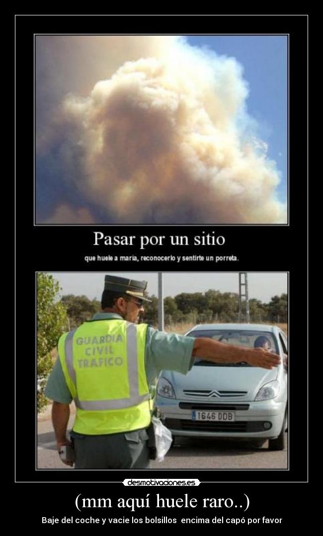 (mm aquí huele raro..) - 