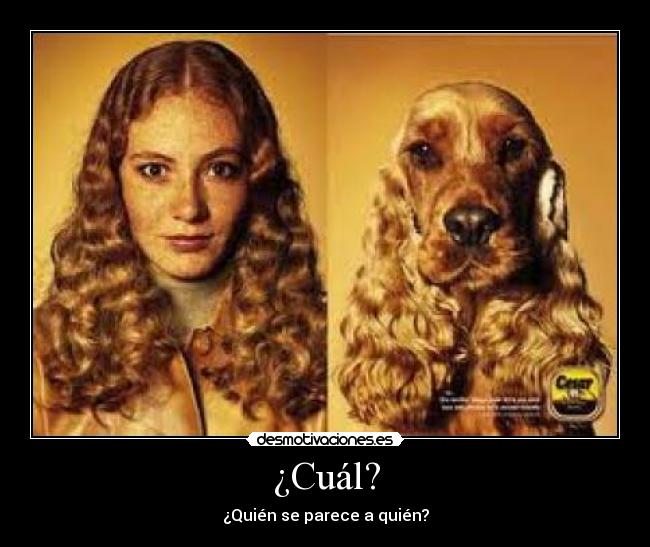 ¿Cuál? - ¿Quién se parece a quién?