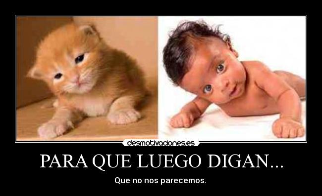 PARA QUE LUEGO DIGAN... - 