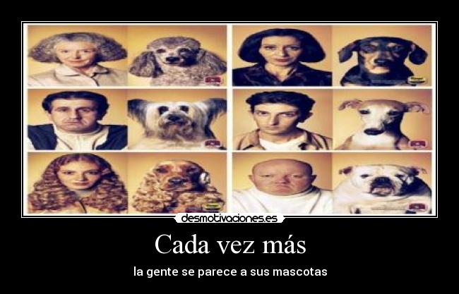 Cada vez más - la gente se parece a sus mascotas