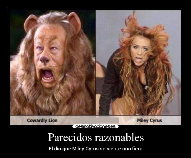 Parecidos razonables - El día que Miley Cyrus se siente una fiera