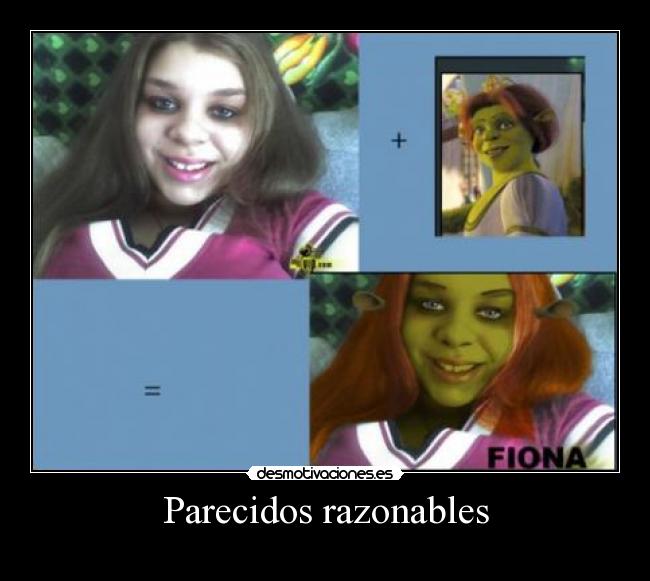 Parecidos razonables - 