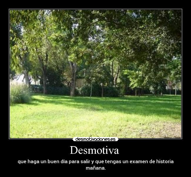 Desmotiva  - 