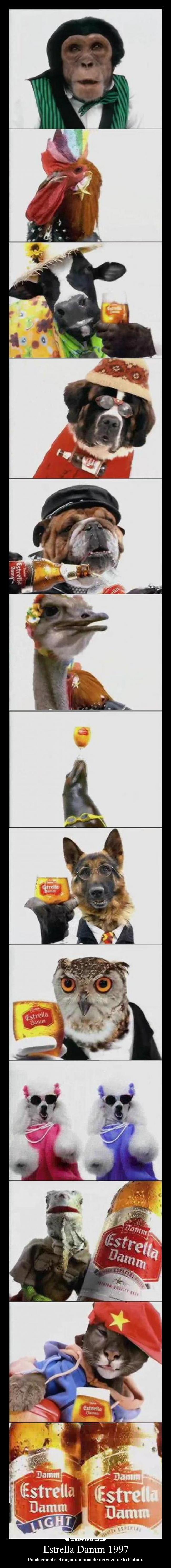 Estrella Damm 1997 -