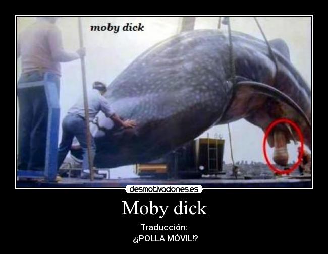 Moby dick - Traducción:
 ¿¡POLLA MÓVIL!?