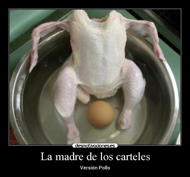 La madre de los carteles - Versión Pollo