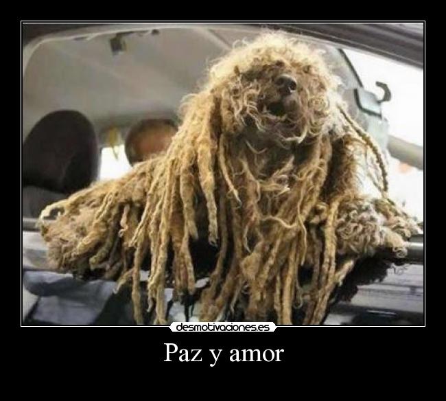 Paz y amor -