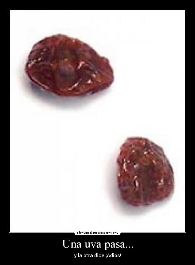 Una uva pasa... - y la otra dice ¡Adiós!
