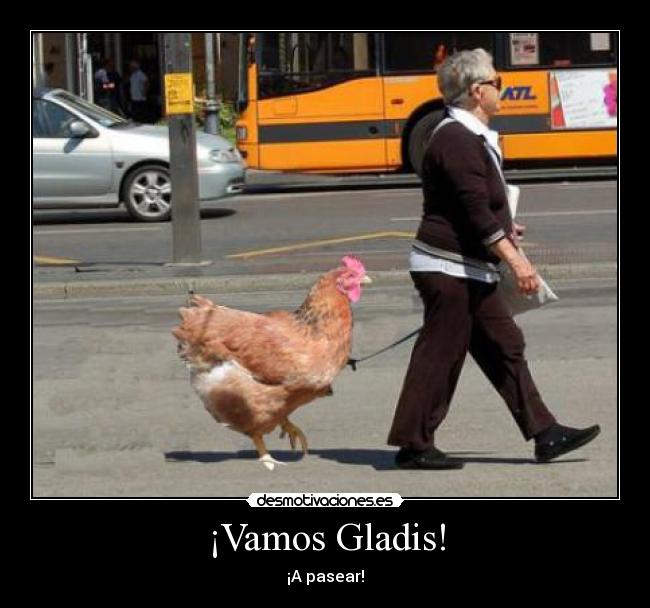¡Vamos Gladis! - ¡A pasear!