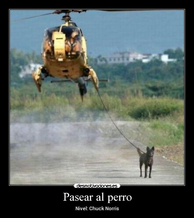 Pasear al perro - Nivel: Chuck Norris