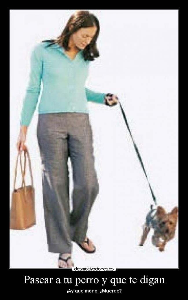 Pasear a tu perro y que te digan - 