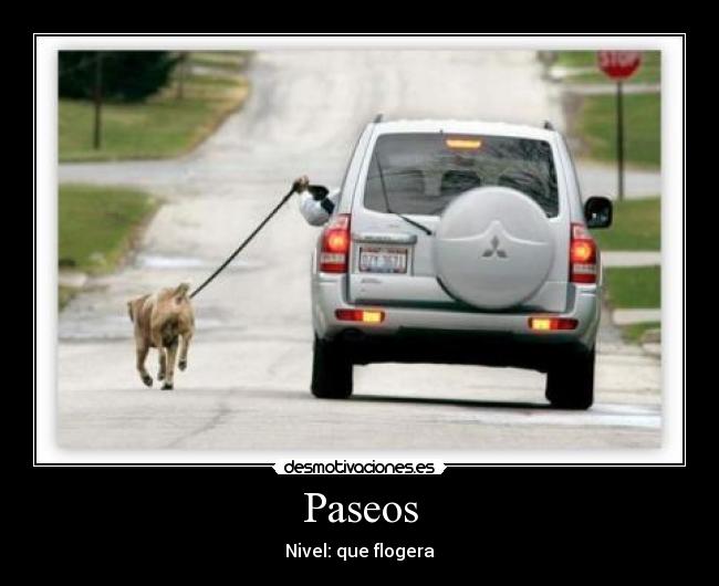 Paseos - Nivel: que flogera