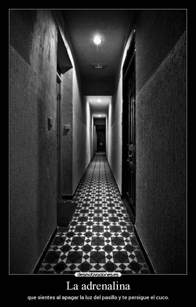 La adrenalina - 