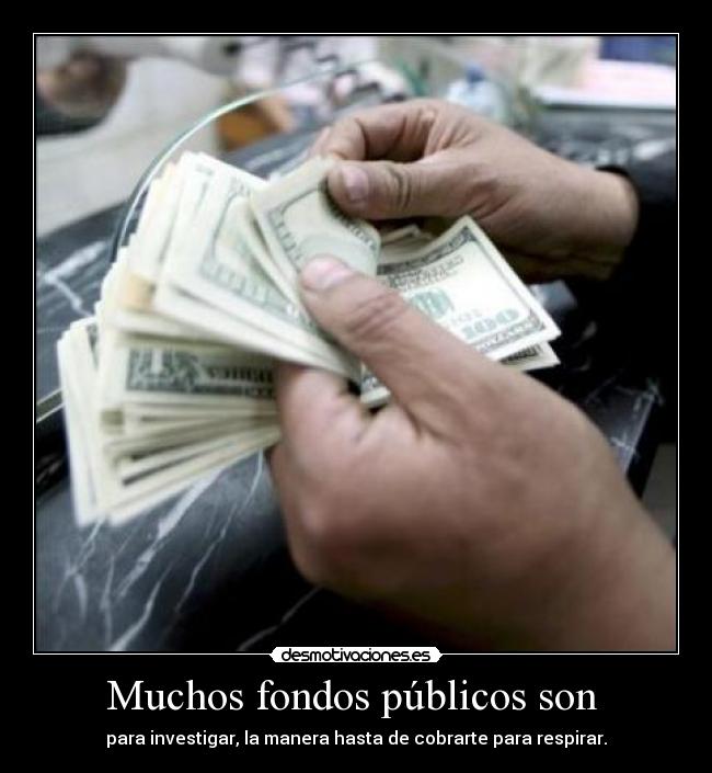 Muchos fondos públicos son -