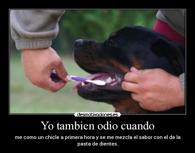 carteles odio tambien odio cuando como chicle primera hora dientes mezcla sabor con pasta desmotivaciones