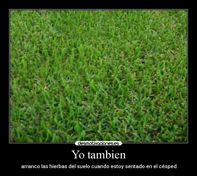 Yo tambien - 