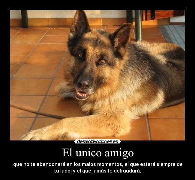 El unico amigo - 