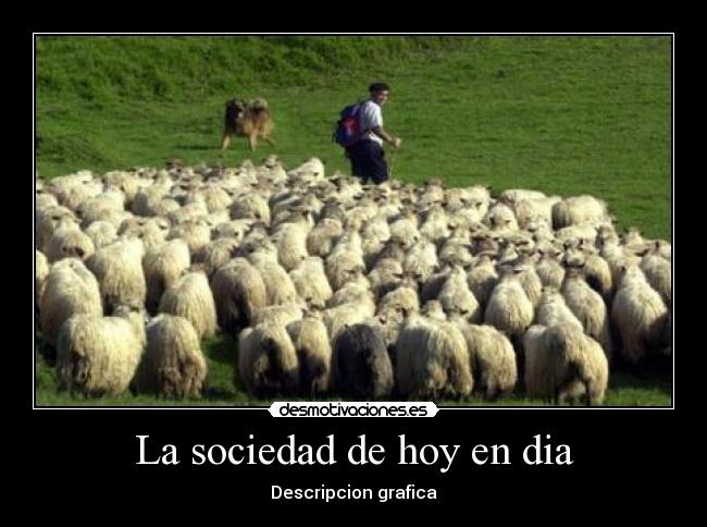 carteles sociedad sociedad hoy dia desmotivaciones