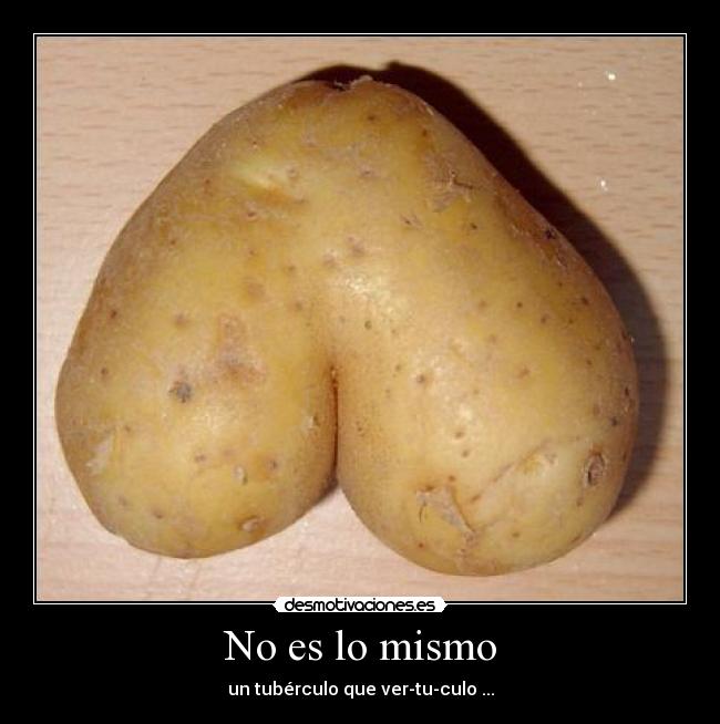 No es lo mismo - un tubérculo que ver-tu-culo ...