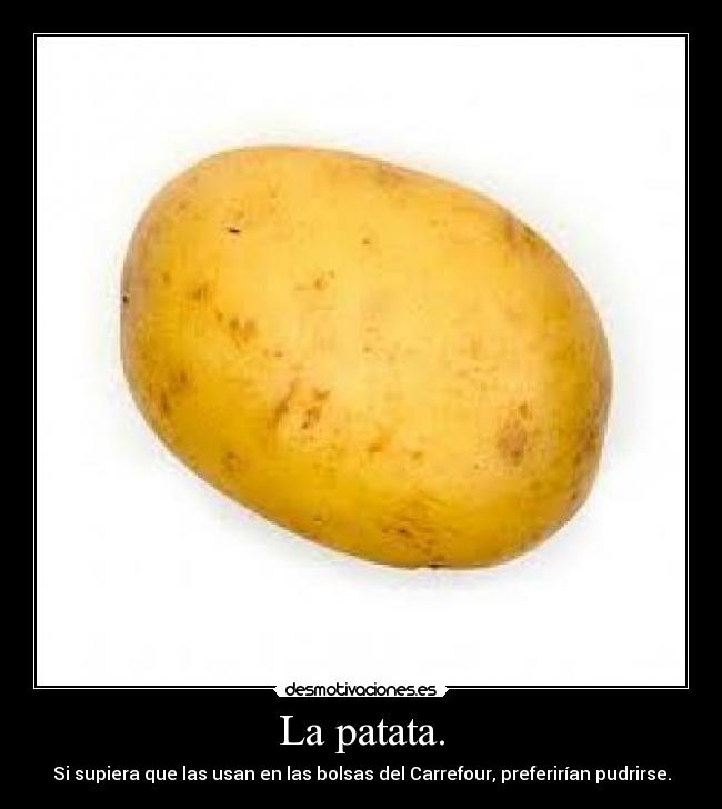 La patata. - Si supiera que las usan en las bolsas del Carrefour, preferirían pudrirse.