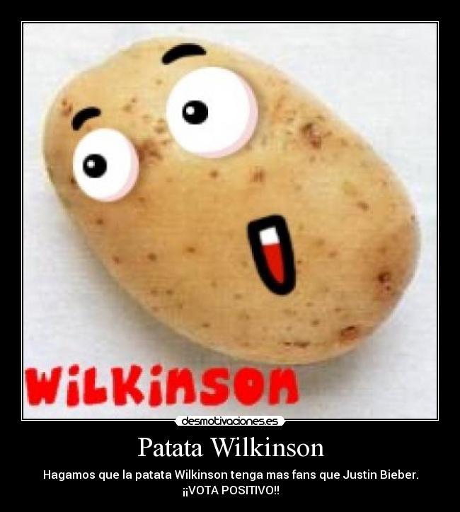 Patata Wilkinson -