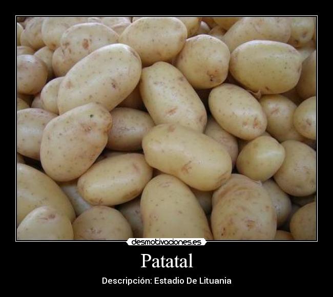 Patatal - Descripción: Estadio De Lituania
