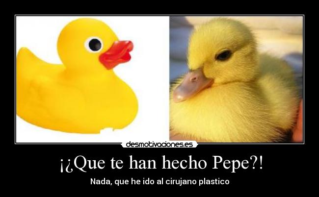 ¡¿Que te han hecho Pepe?! -