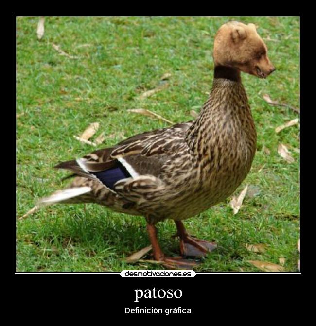 patoso - 