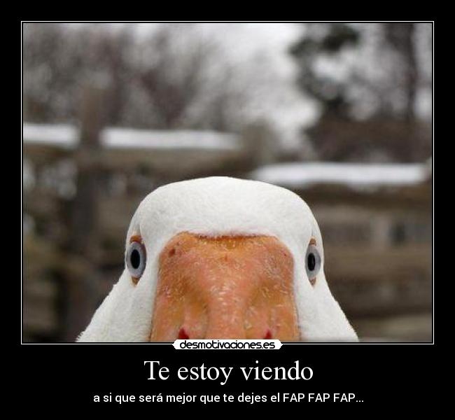 carteles pato fap fap fap desmotivaciones