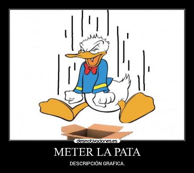 METER LA PATA Desmotivaciones