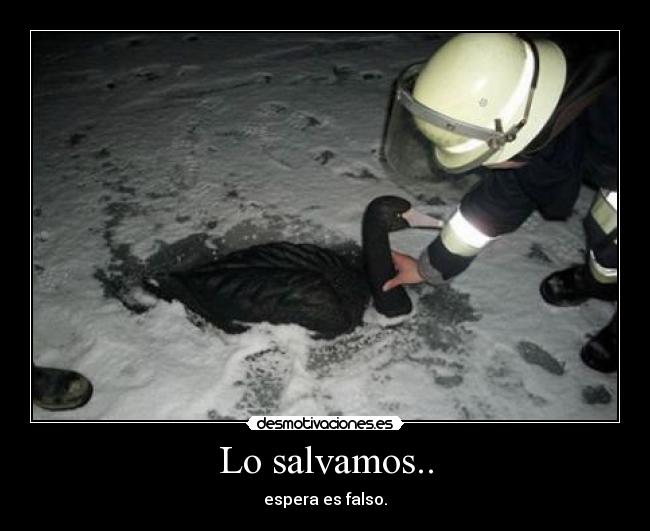 Lo salvamos.. - espera es falso.