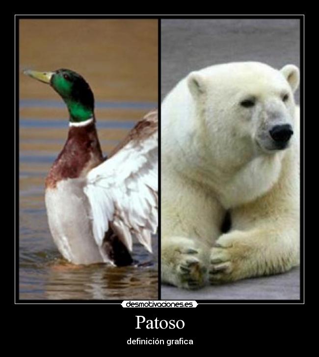 Patoso - definición grafica