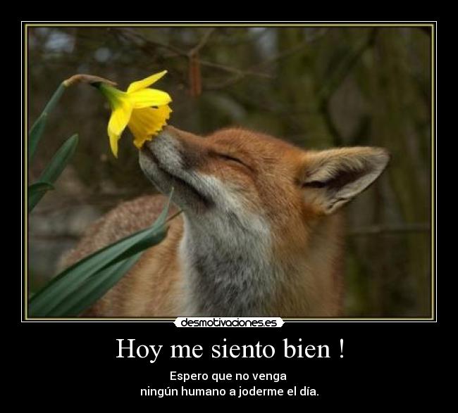 Hoy me siento bien ! - Espero que no venga 
ningún humano a joderme el día.